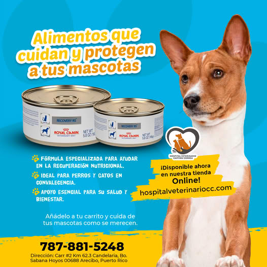 476569127_120217835754380271_7493687657478064518_n