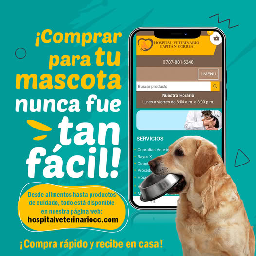 484784780_9817314048286718_685790670263223050_n