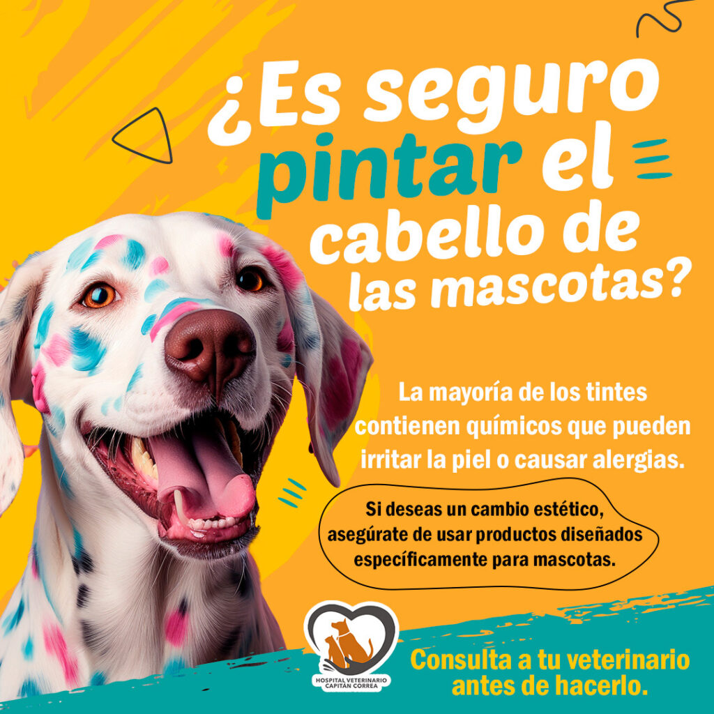 484903835_950953727070144_7441944584541008807_n